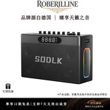 ROBERILLINE德国品牌高端大功率户外K歌音响低音炮电吹管乐器无线蓝牙音箱TWS互联四分频高音质高音量炫彩光效 S1127PLUS【无话筒版】