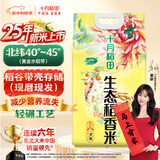 十月稻田 2025年新米 生态稻香米 5kg 东北大米 粳米 5公斤