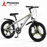 凤凰（Phoenix）儿童山地自行车6-18岁青少年成人单车男女碟刹减震变速24寸灰绿色