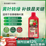 美乐棵园艺植物补铁剂花肥肥料改善叶黄植物营养液500ML