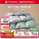 罗莱家纺 羽绒被 A类95%水洗鹅绒被子保暖冬被芯 约4.3斤绿