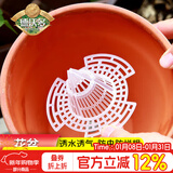 德沃多花盆垫片锥形中号*10个花瓶地垫种植多肉种菜花盆防漏土透气网垫
