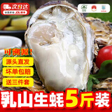 百鲜洽活鲜生蚝鲜活发货特大牡蛎带壳生吃海蛎子新鲜海鲜水产聚会烧烤-G 【尝鲜福利】3XL净重5斤(16-25只)