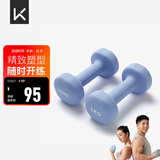 Keep 彩色浸塑哑铃 男女家用家庭健身肌肉塑形手臂轻重量紫灰色 3kg*2