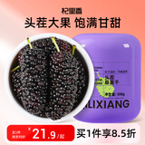 杞里香大果桑葚干300g 攀枝花黑桑葚即食桑椹干泡茶酒桑葚汁补品养生茶