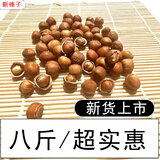 木乃壳新货 铁岭小榛子 笨炒小臻子东北薄皮坚果山榛子 大粒【炒榛子不开口】送1把开果器 八斤带开钳子