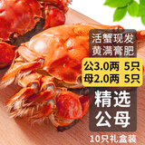 【活蟹】乾澄大闸蟹现货 公3两母2两10只5对  鲜活螃蟹去绳足重生鲜海鲜河蟹源头直发