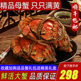 【活蟹】阳澄清歆大闸蟹 鲜活特大螃蟹公蟹母蟹 海鲜水产年货礼盒 精品全母蟹3.0-3.3两 十只礼盒装