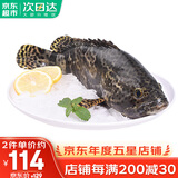 哆鲜生 海捕石斑鱼 野外生长鲜活冷冻东星斑龙趸斑三去龙胆斑鱼类生鲜 三去珍珠斑 550-650克