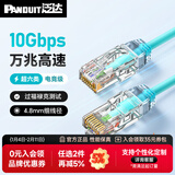 泛达 泛达超六类细网线CAT6A类跳线家用电脑宽带POE监控万兆高速成品线 冰湖蓝 1米