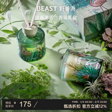 野兽派（THE BEAST）Jungle清新龙舌兰香薰蜡烛礼盒室内香薰新婚礼物生日礼物