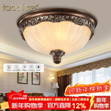 韬齐 欧式吸顶灯客厅现代简约主卧室灯美式阳台灯具 J2003-中号 直径35CM 配单色LED灯泡