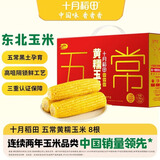 十月稻田 五常黄糯玉米 8根 3.52斤 东北甜粘玉米棒 真空包装 送礼礼盒 