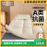 雅鹿·自由自在 A类床垫床褥加厚8cm学生宿舍单人上下铺软垫被120x200cm-暖暖