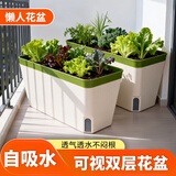 芷郁懒人种菜盆长方型窄边花盆阳台可视水位蔬菜自吸种植盆栽 绿色