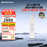 滨特尔（pentair）大白瓶前置过滤器 全屋家用自来水过滤器 前置净水器大蓝瓶 中央净水机大流量大胖瓶高精度 【20寸大白瓶】包安装