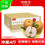 京鲜生山东烟台莱阳秋月梨净重4斤单果200g+ 新鲜水果 源头直发包邮