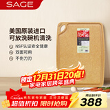 世廚（SAGE）美国进口切菜板抗菌砧板耐高温案板不伤刀易清洗带凹槽30*40*1cm
