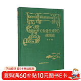 《安徒生童话》插图选