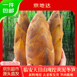 京地达正宗临安天目山现挖大冬笋5斤装单果8两起冬笋竹笋新鲜源头直发