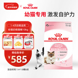 皇家幼猫奶糕 幼猫猫粮 BK34 通用粮 1-4月 10KG