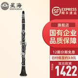 星海（XINGHAI INSTRUMENT）单簧管XC-17J 降b调黑管乐器 初学考级学校乐团入门业余演奏款 升级款XC-17J单簧管
