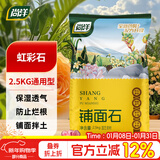 尚洋虹彩石2.5kg 多肉土颗粒铺面石美观园艺无土栽培基质植物种植基质