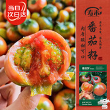 寿禾番茄种子苗大果西红柿绿果肩菜种籽 潍育番茄梦草莓番茄种子180粒