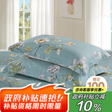艾薇 A类枕头套纯棉家用全棉单人枕套一对枕芯套 清馨花园 48*74cm