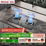 林内（Rinnai）燃气灶5kW大火力双眼猛火灶具家用嵌入式钢化玻璃天然气一级能效 2E07M