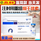 中科拜克猫干扰素重组注射液猫咪猫鼻支疱疹杯状病毒抑制蛋白猫瘟治疗套餐 猫干扰素10支/盒【针+液】