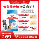 皇家狗粮幼犬狗粮幼犬奶糕宠物大型犬MAJ30全价犬粮2-15月4KG