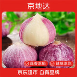 京地达云南紫皮独头蒜 净重2斤 中果2.5-3.0cm独蒜干蒜头源头直发包邮