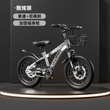 凤凰（Phoenix）儿童自行车儿童单车3-6岁小孩自行车6-10岁儿童自行车凤凰自行车 标配炫酷银丨辐条轮+双碟刹+礼包 16寸【适合105-130cm】