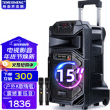 特美声 特美声SL15-31广场舞户外移动大功率演出活动拓展主持15寸大音量音响k歌唱歌便携式蓝牙蓝牙音箱 15寸标配+2支无线话筒+大礼包
