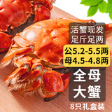 【活蟹】乾澄大闸蟹现货 公蟹5.2两母蟹4.5两 8只4对 鲜活螃蟹海鲜年货礼盒装源头直发