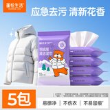蓬松生活羽绒服湿巾珍珠纹 免洗去污卫生清洁湿巾小包旅行外出便携装 10抽5包
