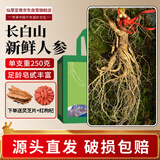 仙草至尊 新鲜人参半斤一根 特大东北长白山现挖带土鲜参泡酒源头直发包邮