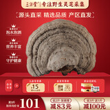 三京堂野生木蹄层孔菌 长白山木蹄灵芝整枝 野生桦菌芝马蹄 500g*1袋 【免费切片 下单备注】 野生木蹄层孔菌