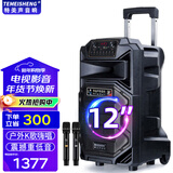 特美声 特美声SL15-31广场舞户外移动大功率演出活动拓展主持15寸大音量音响k歌唱歌便携式蓝牙蓝牙音箱 12寸标配+2支无线话筒+大礼包