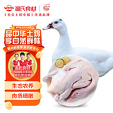 温氏 广东农养番鸭4斤 冷冻生鲜鸭肉土鸭子姜母鸭 瘦肉型飞鸭慢养