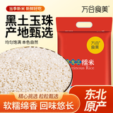 万谷食美 糯米5斤 粽子米 圆粒糯米黏米江米 粥米伴侣