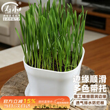 寿禾 花盆超小塑料园艺种植多肉盆栽带托盘 韦尼恩盆含托1个装