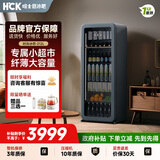 HCK哈士奇 客厅复古冰箱家用无霜纤薄嵌入式酒饮冷藏柜保鲜酒饮冰吧大容量立式冰柜212升SC-208RI冷灰