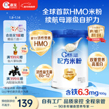 嘉宝（GERBER）HMO母乳低聚糖婴儿配方米粉250g宝宝辅食高铁营养米糊100%真验厂