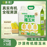 源漠优品有机甜糯黄玉米2025当季 内蒙古沙漠玉米黄金种植带 早餐粗粮杂粮 内蒙有机甜糯玉米袋装250g*5支