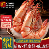 蝶岛船说东山岛大九节虾干即食特大烤虾干风干大烤虾对虾干大斑节虾干干货 大九节虾干 500克/（40-48只）