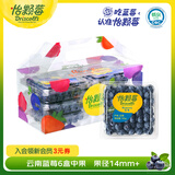 怡颗莓Driscoll's 新鲜云南蓝莓14mm+6盒礼盒装 约125g/盒 京东超市水果