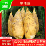 京地达临安天目山现挖新鲜特级两头尖冬笋净重5斤单果5两起竹笋源头直发