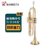 猛犸象降B调小号乐器 铜管乐器 初学 入门 演奏 考级西洋管弦 ITR-600